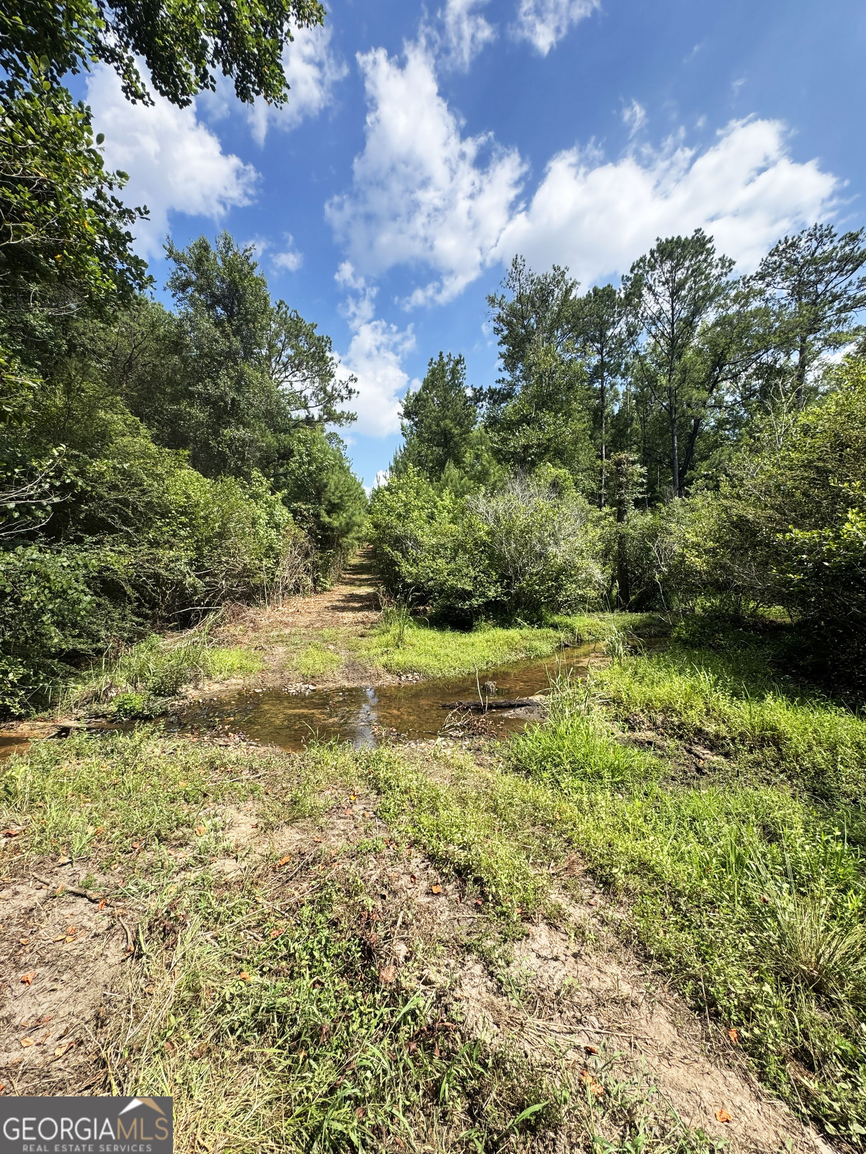 0 Wooten Road Property Photo 19