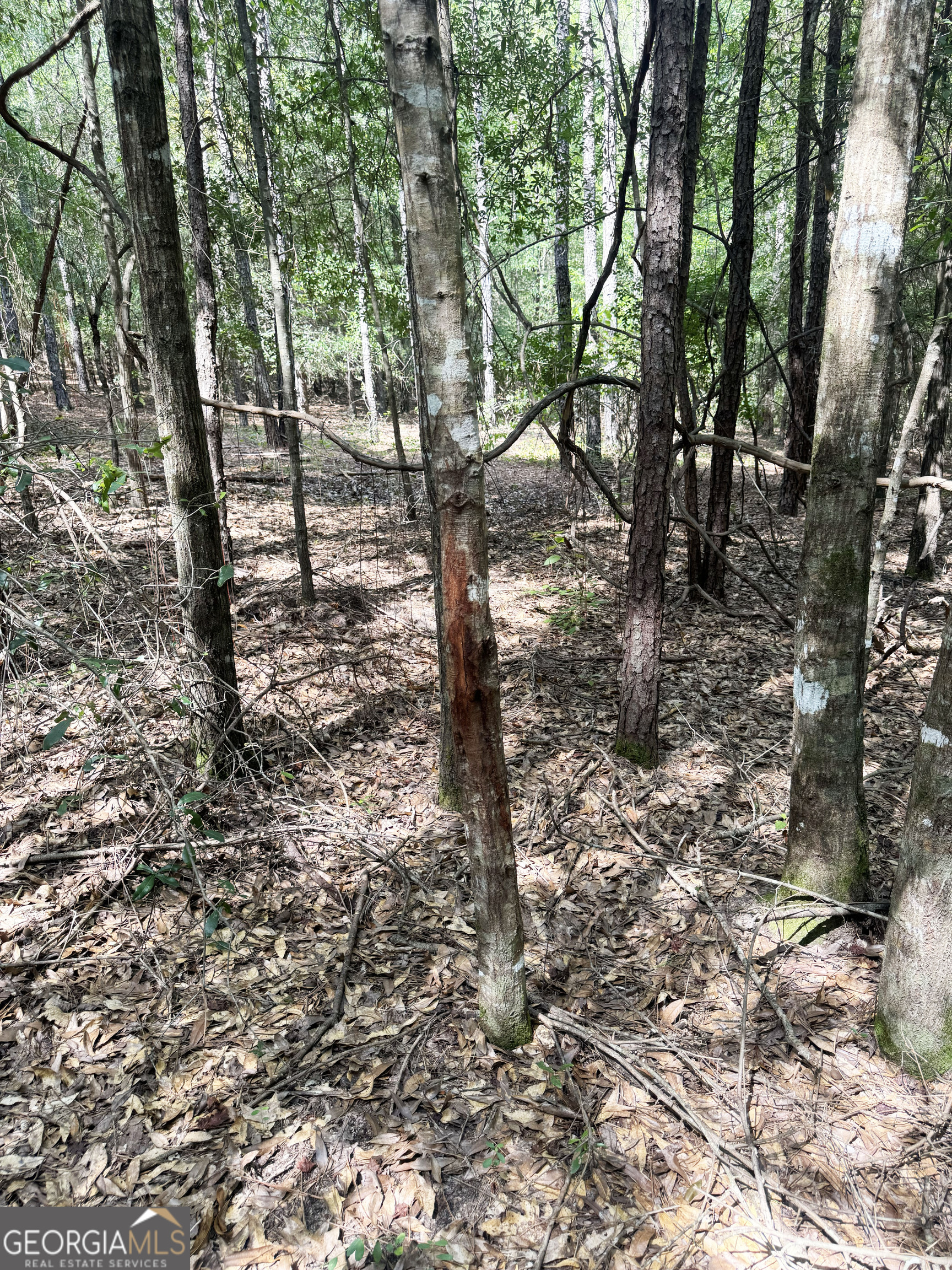 0 Wooten Road Property Photo 20