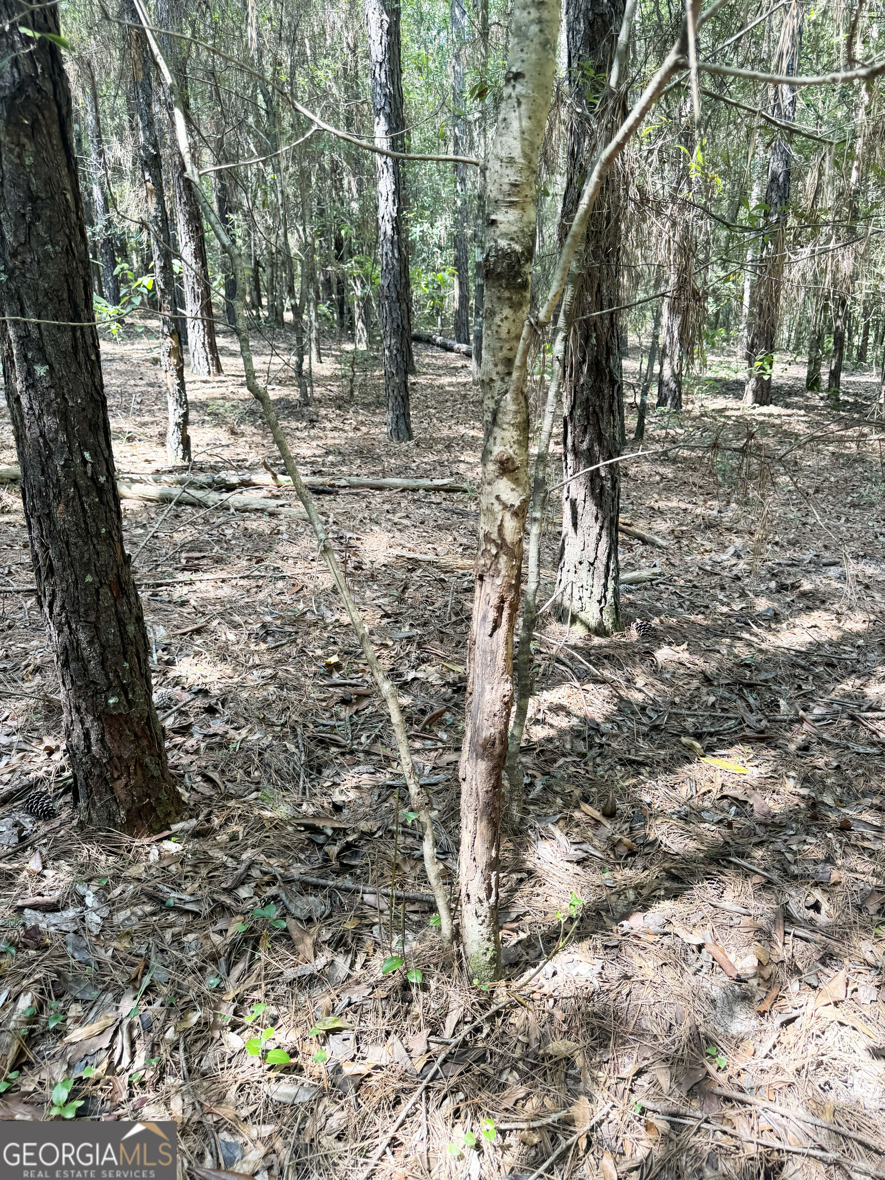 0 Wooten Road Property Photo 21