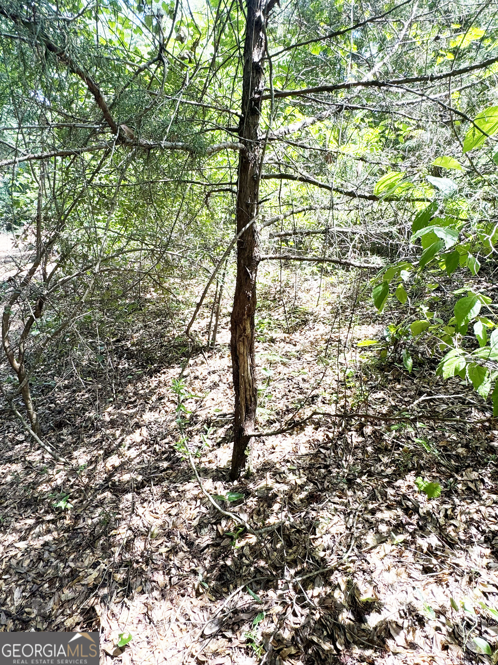 0 Wooten Road Property Photo 25