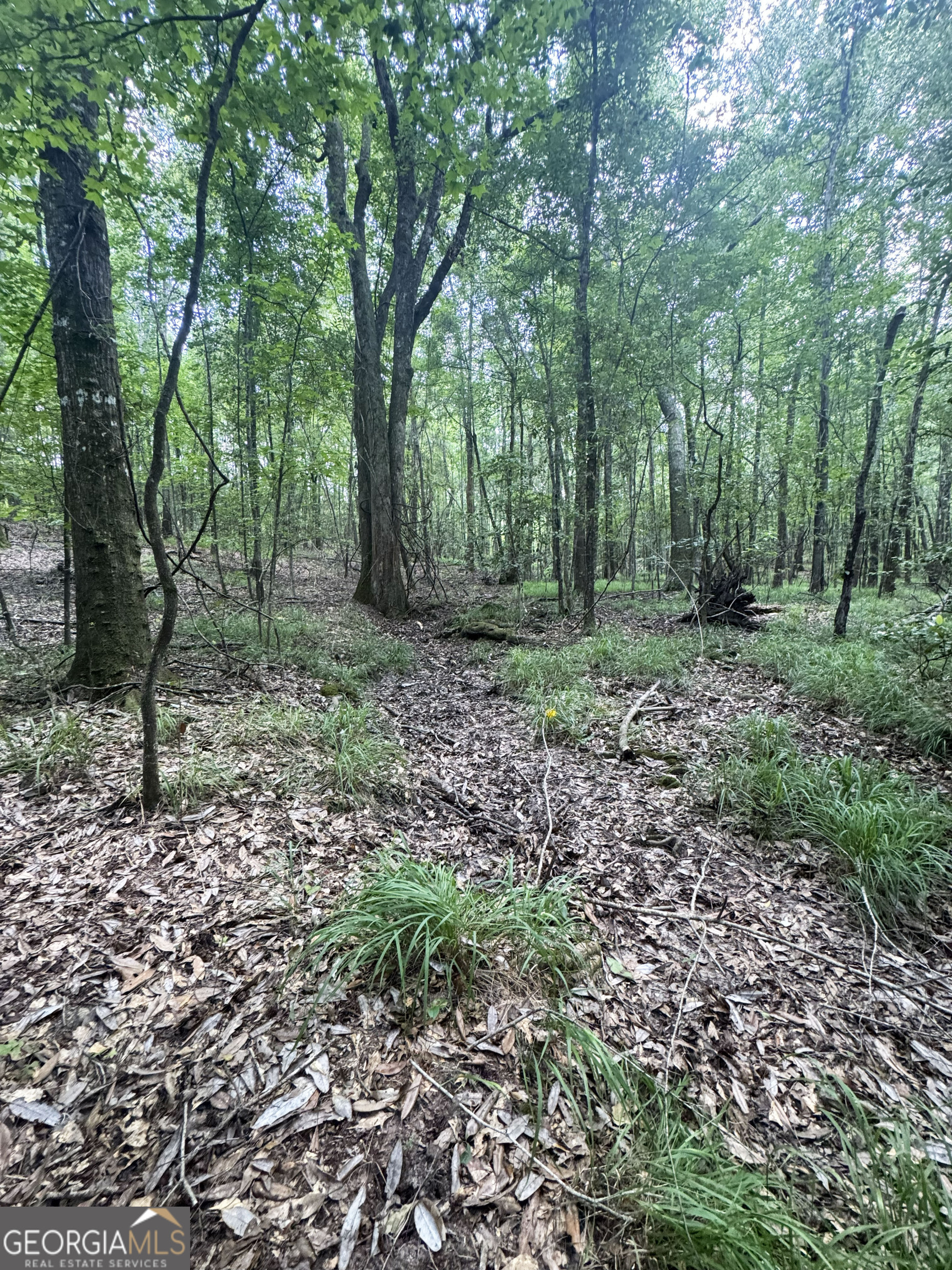 0 Wooten Road Property Photo 27