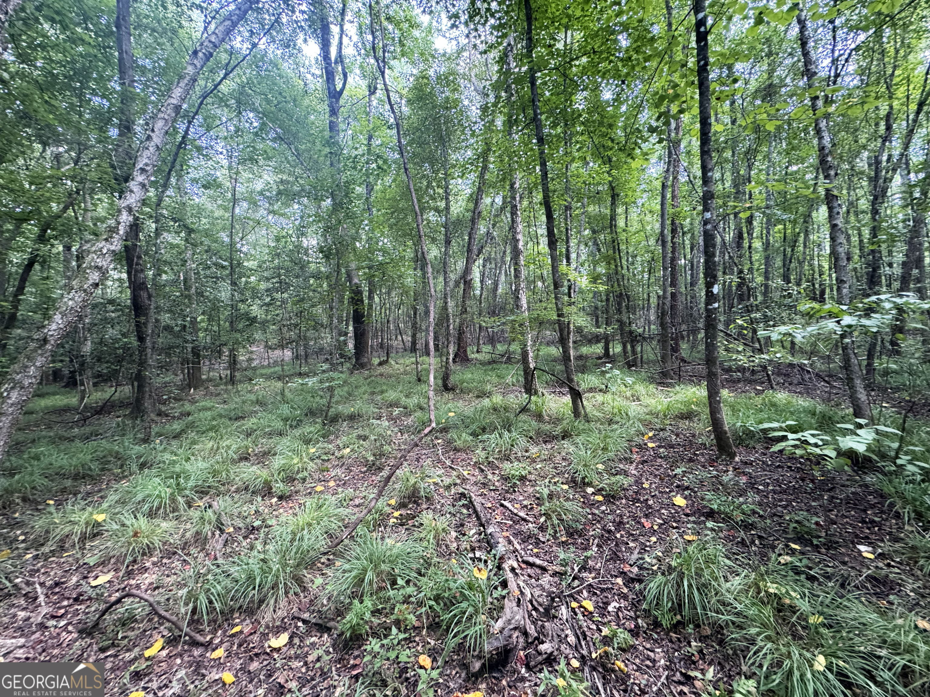 0 Wooten Road Property Photo 28