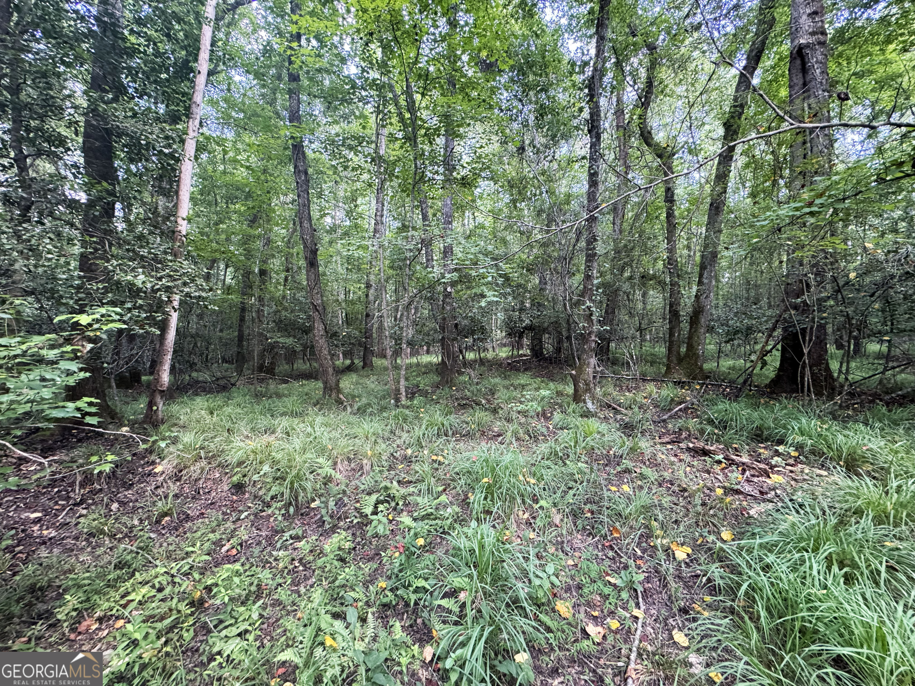 0 Wooten Road Property Photo 29