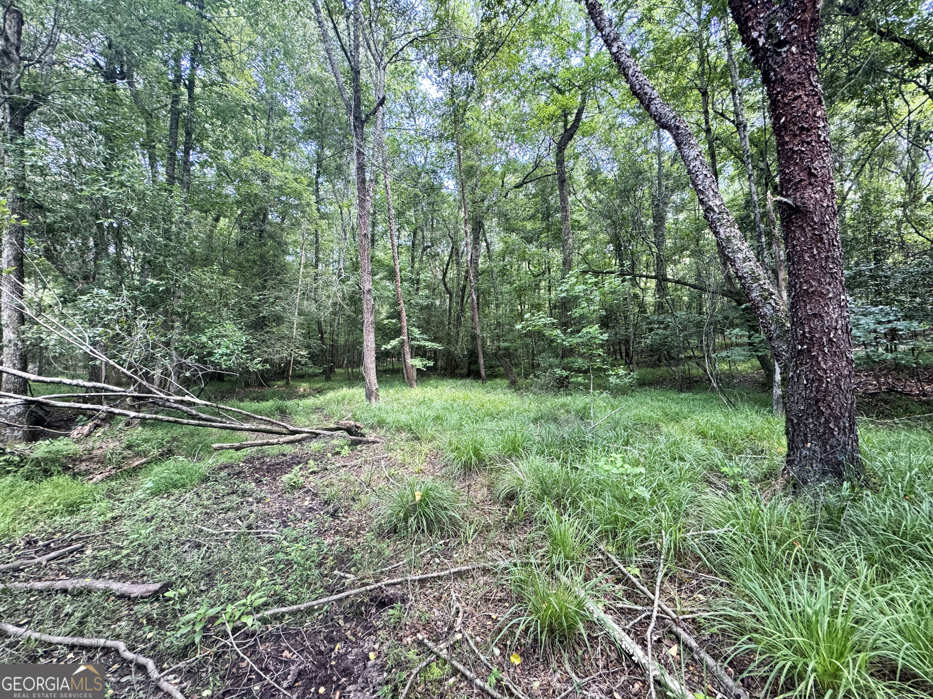 0 Wooten Road Property Photo 31