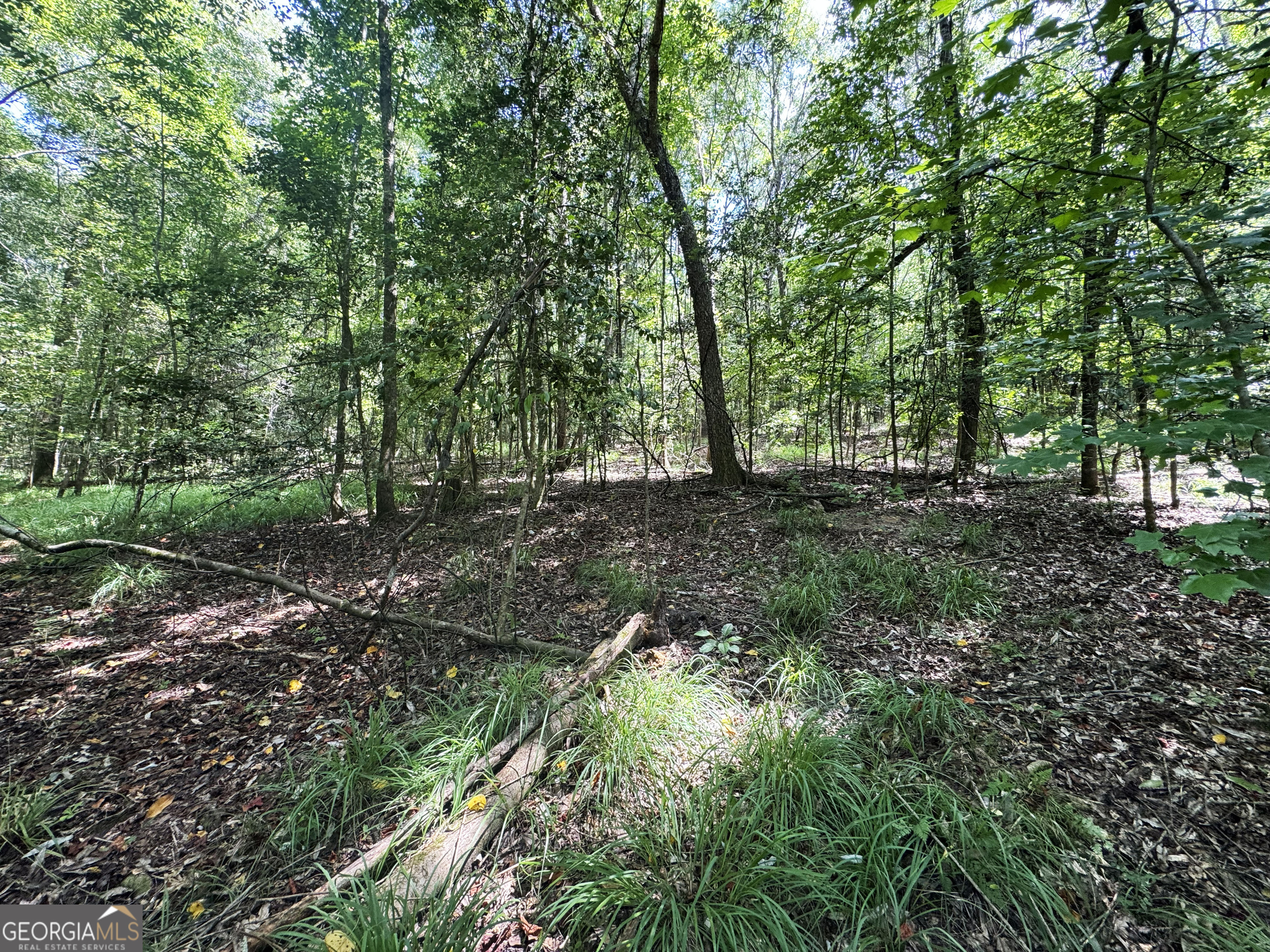 0 Wooten Road Property Photo 32