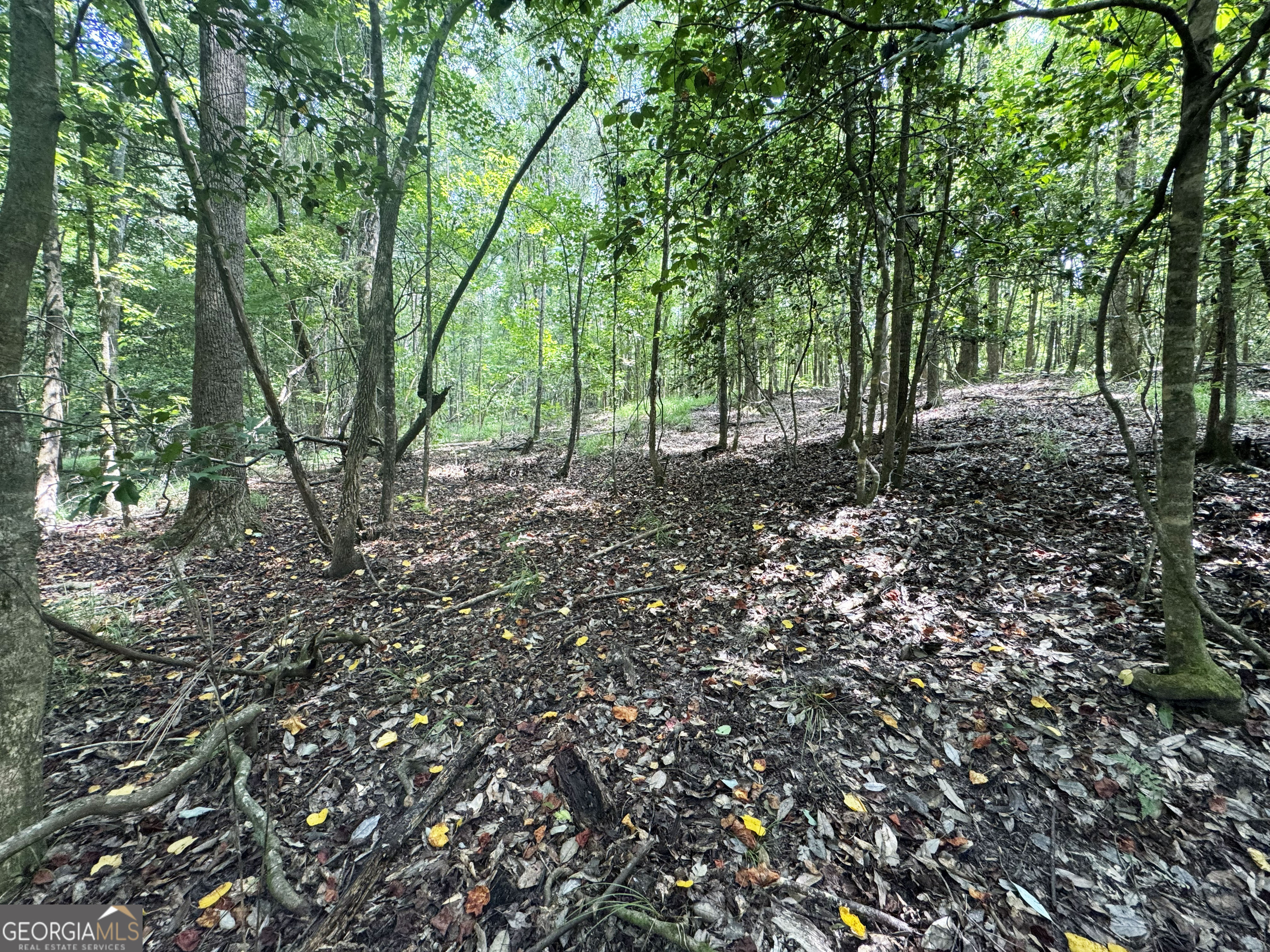 0 Wooten Road Property Photo 33