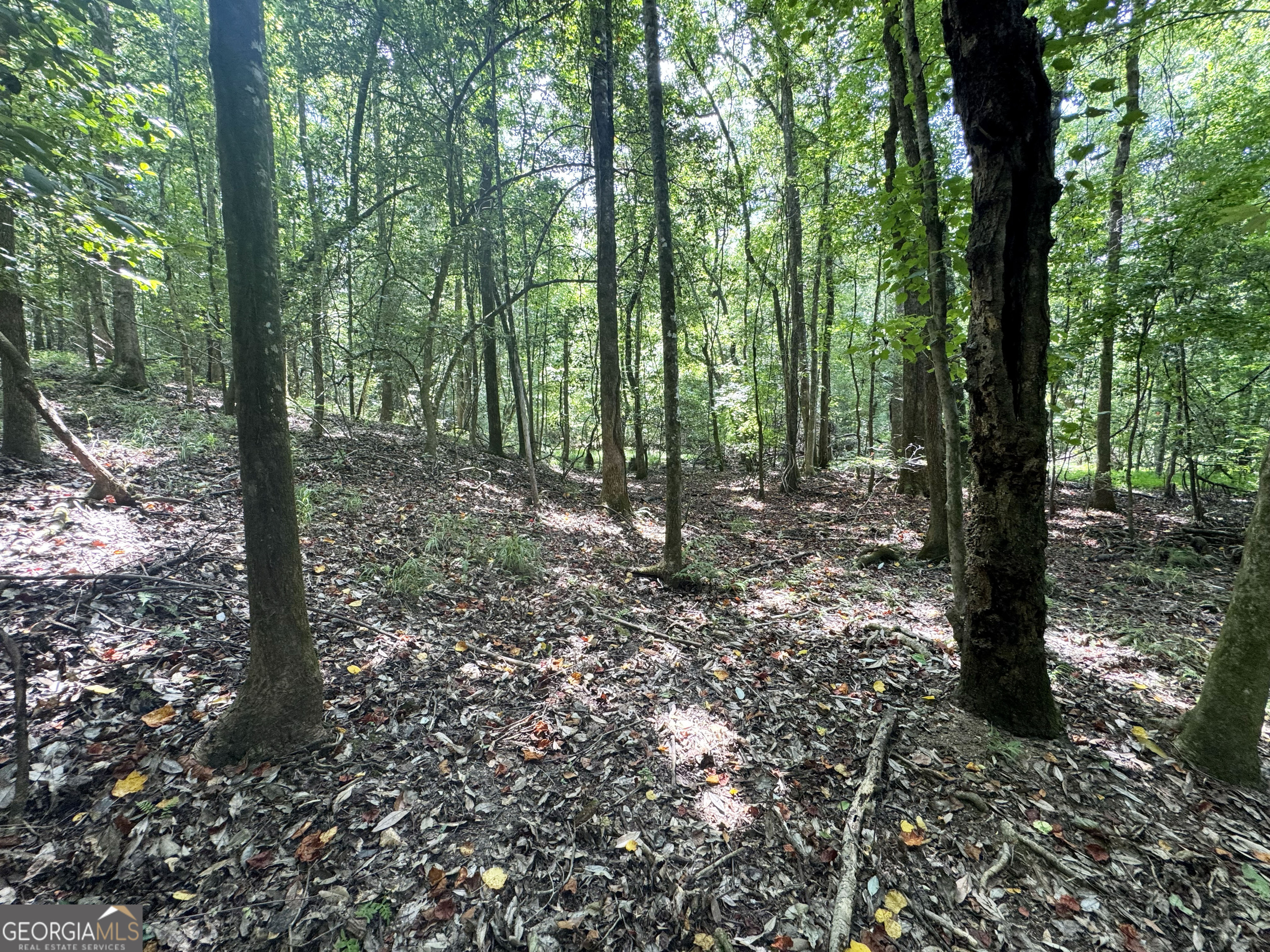 0 Wooten Road Property Photo 34