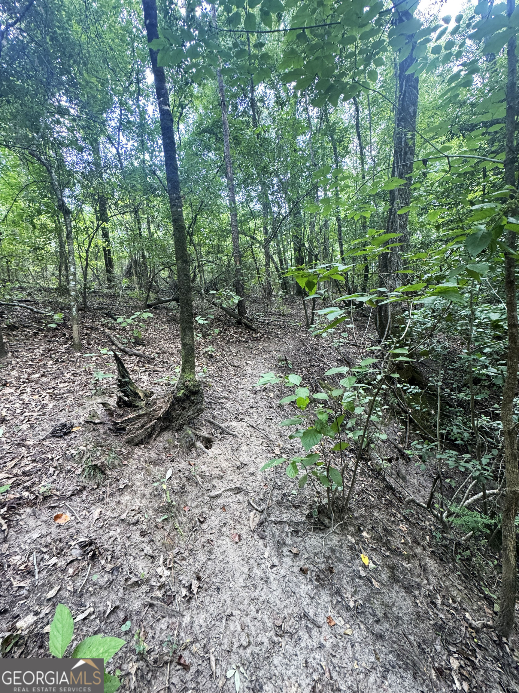 0 Wooten Road Property Photo 35