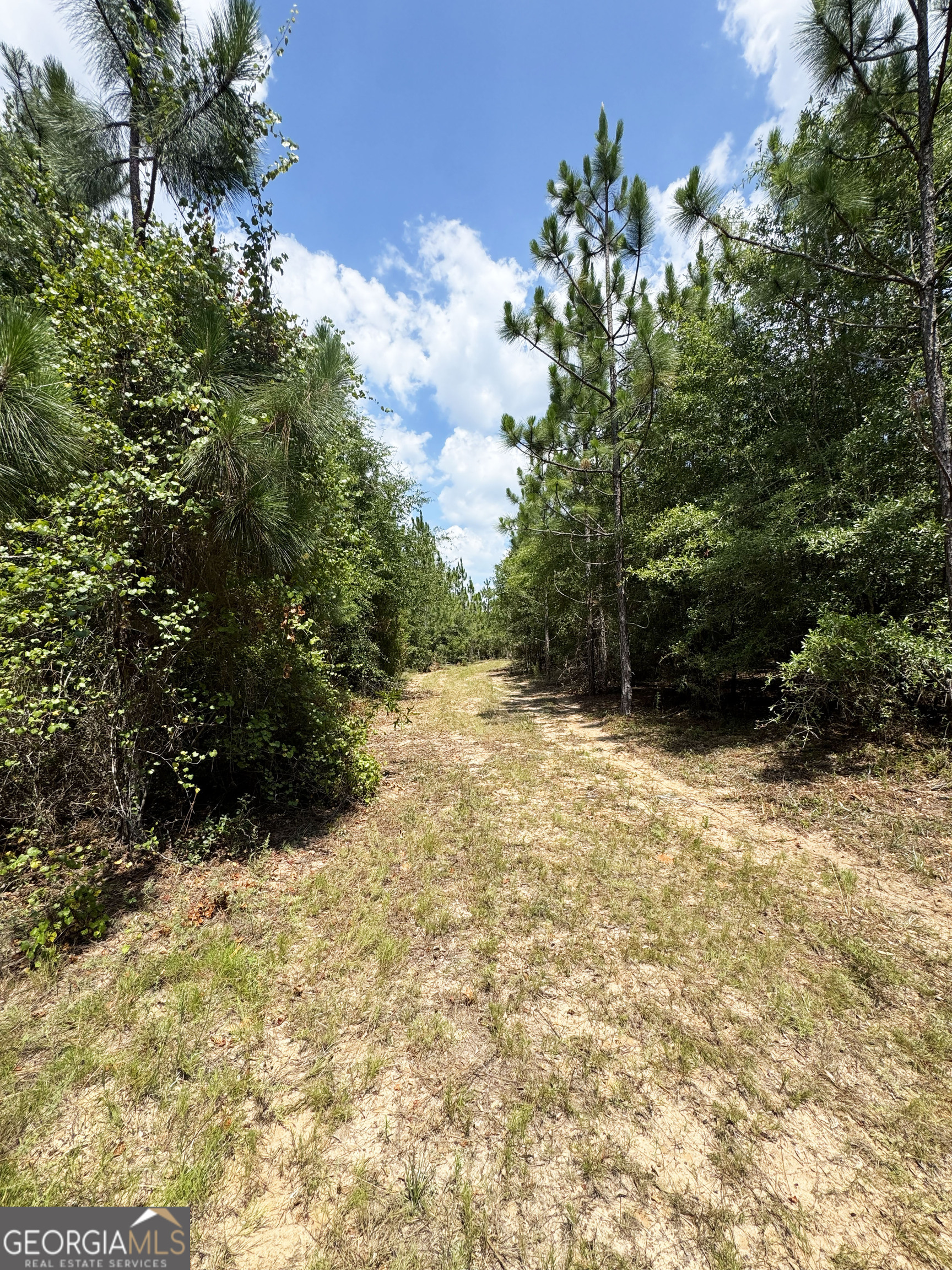 0 Wooten Road Property Photo 36