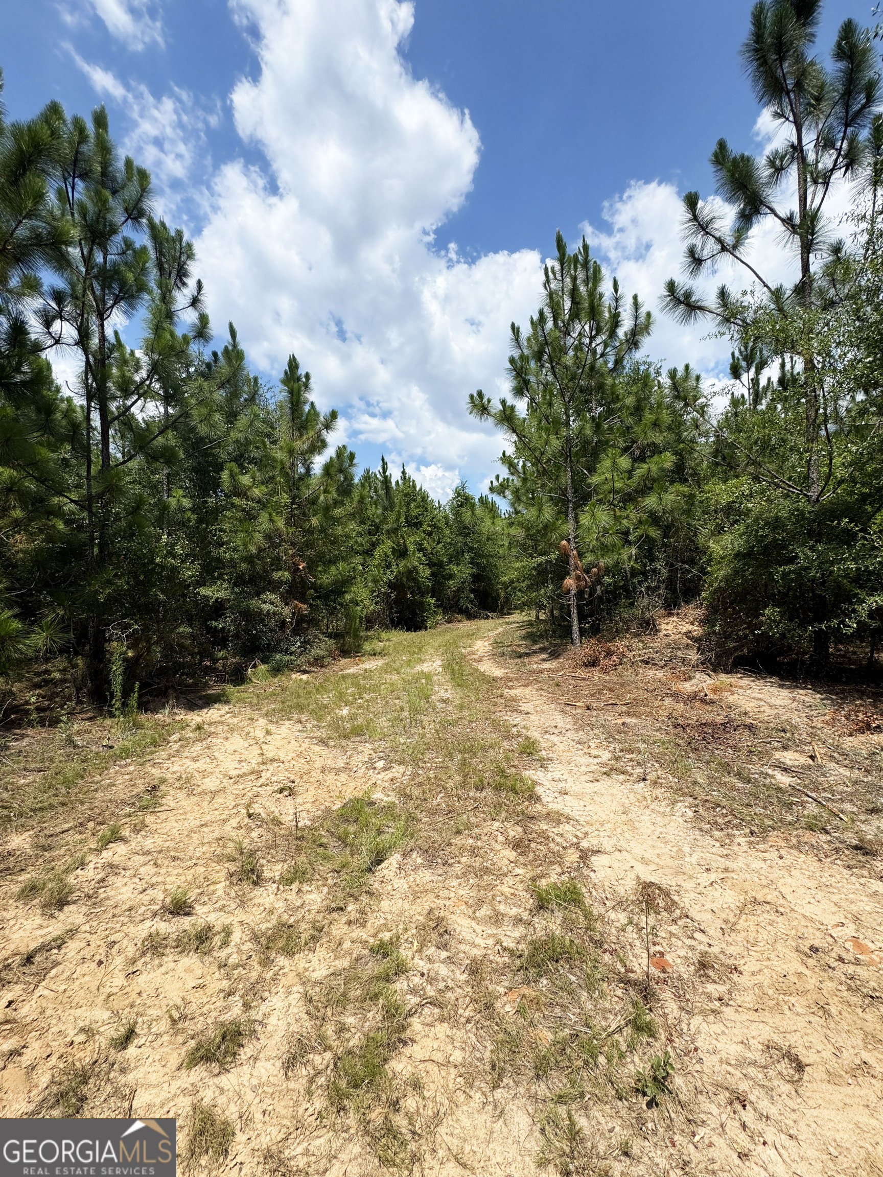 0 Wooten Road Property Photo 37