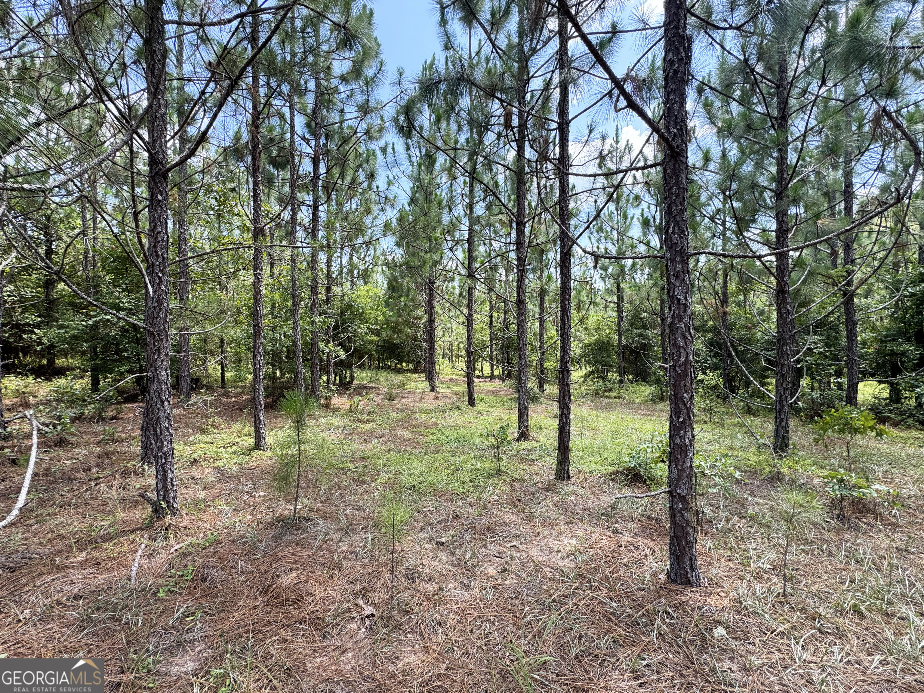 0 Wooten Road Property Photo 38