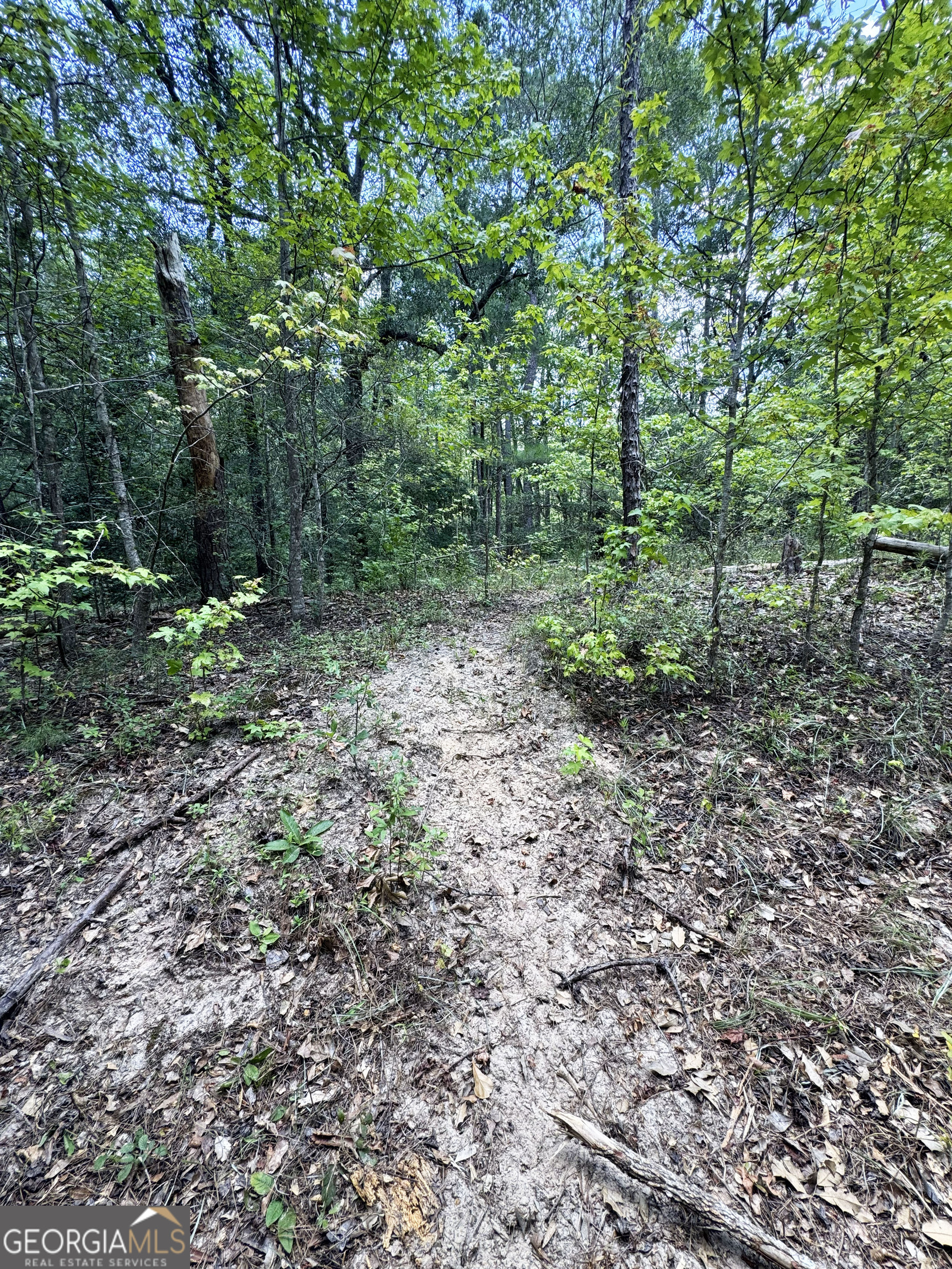 0 Wooten Road Property Photo 39