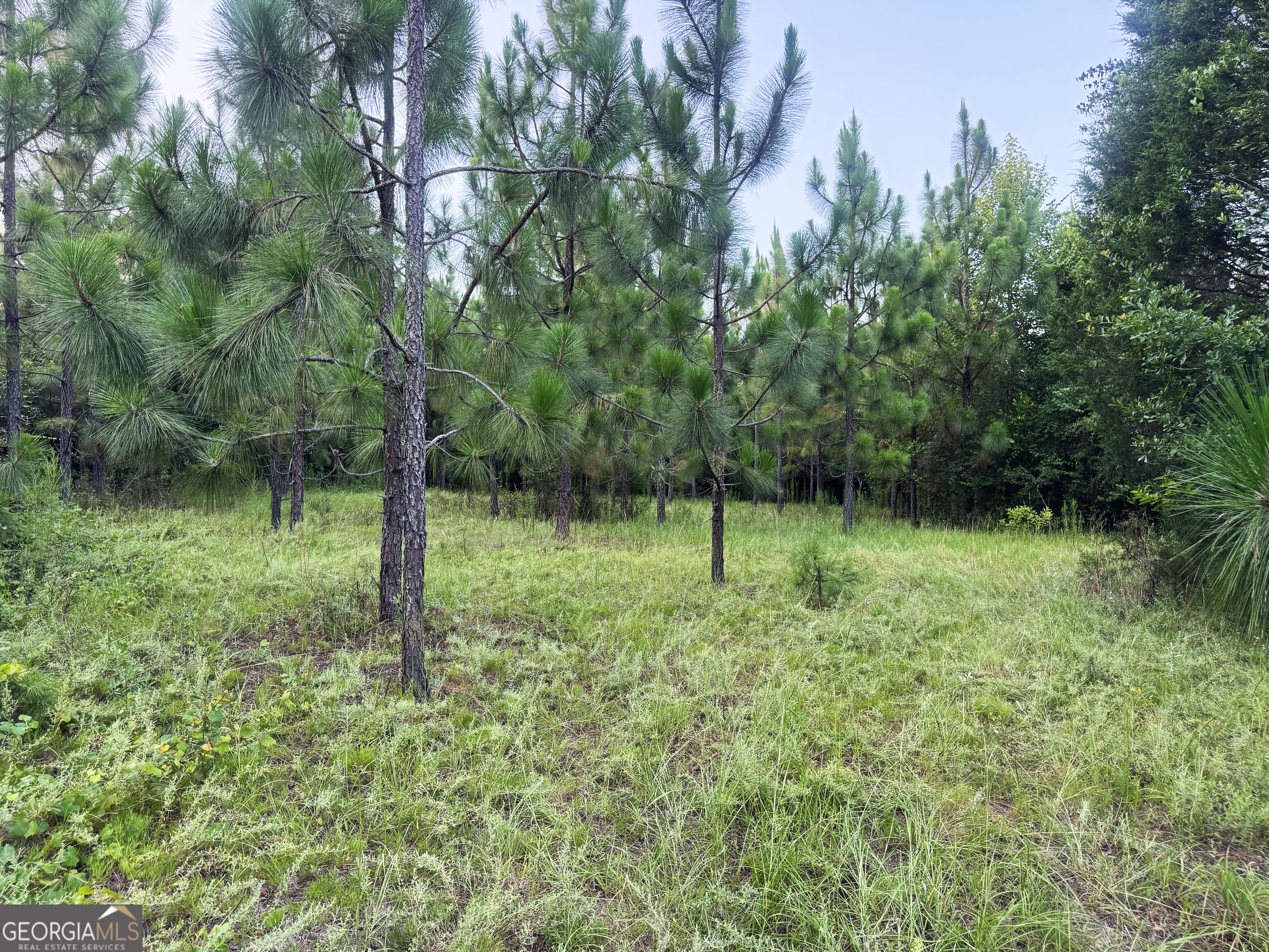 0 Wooten Road Property Photo 46