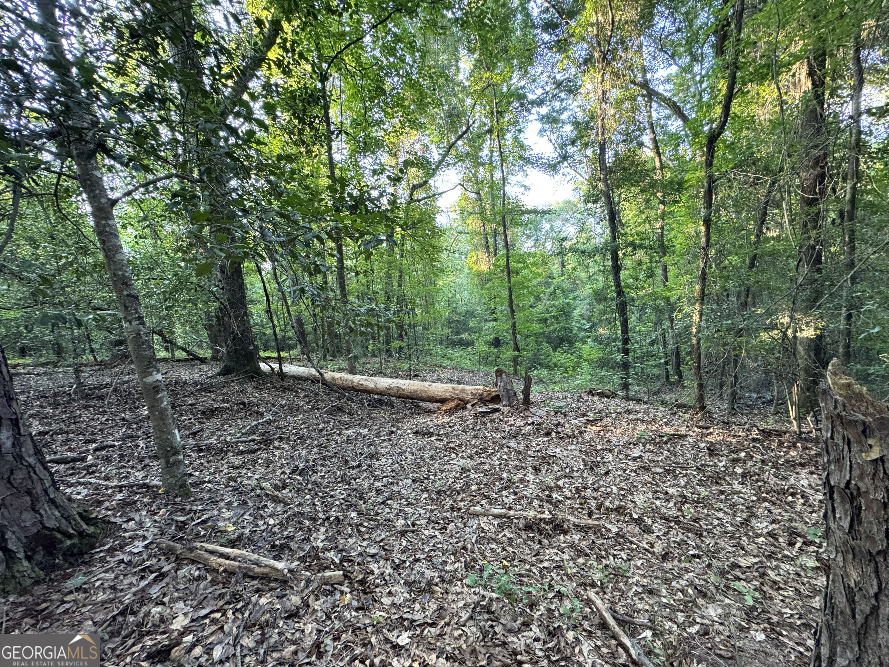 0 Wooten Road Property Photo 50