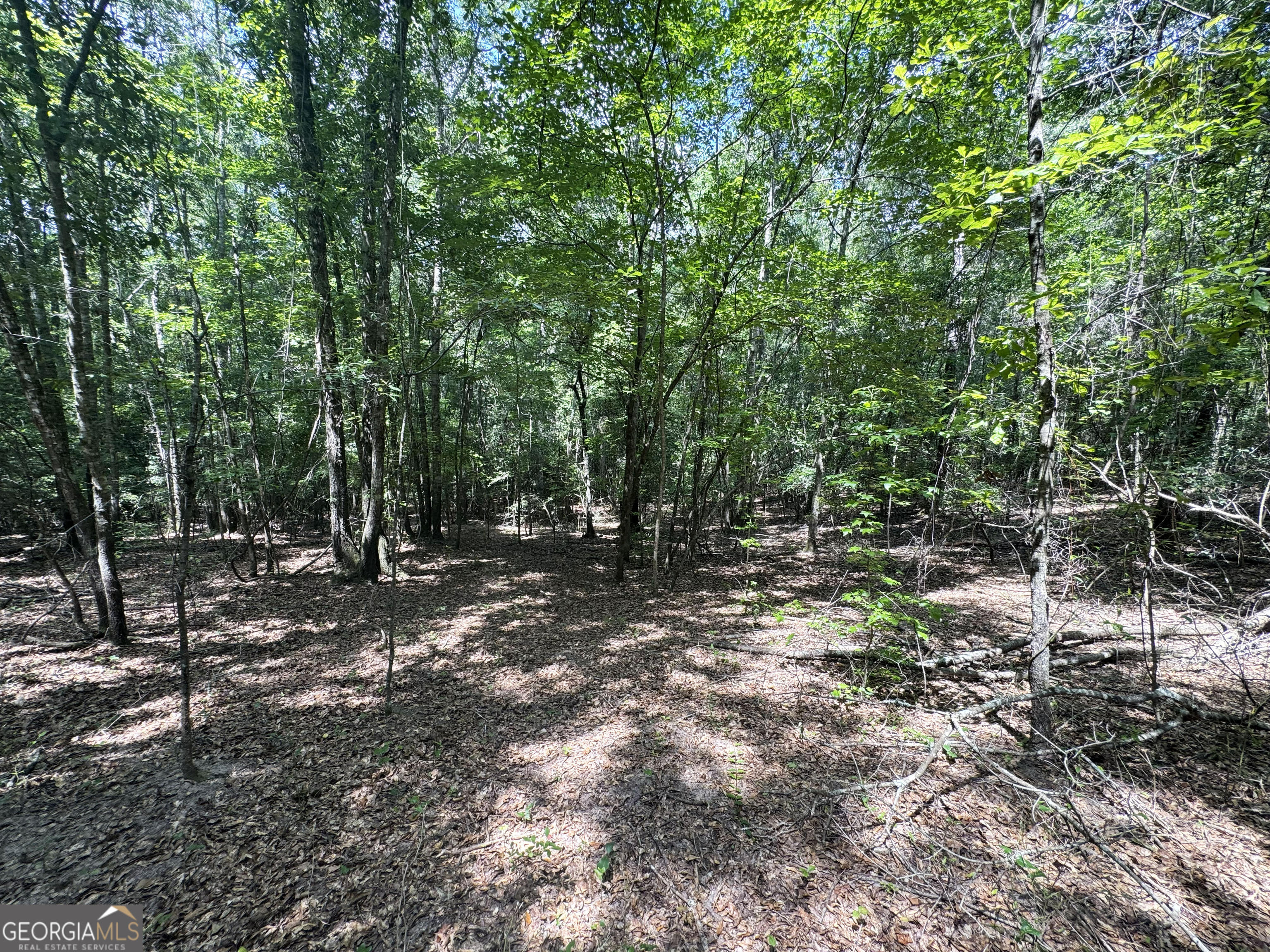 0 Wooten Road Property Photo 54