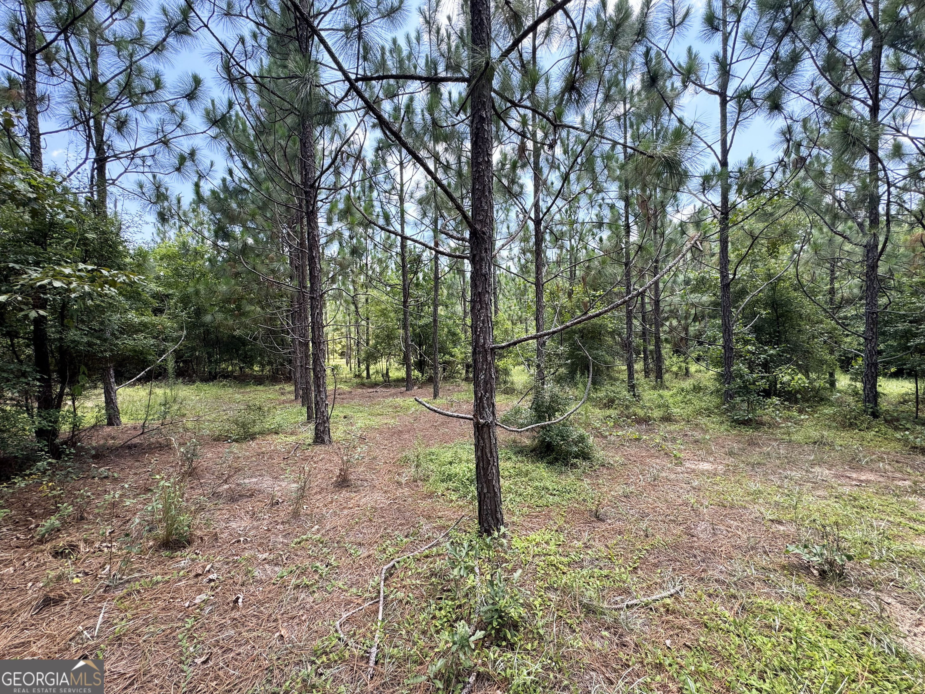 0 Wooten Road Property Photo 55