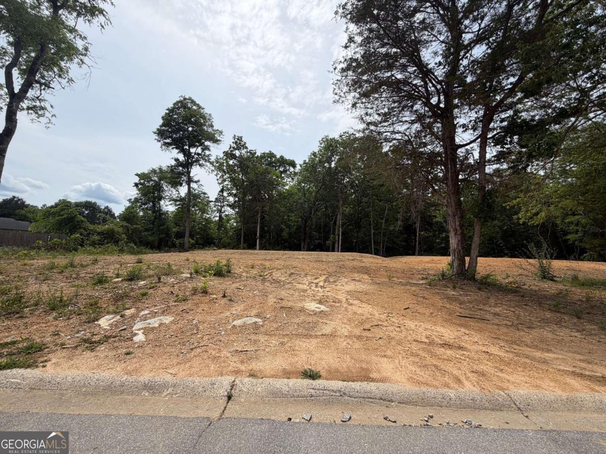 0 Ronnie Road Property Photo 3
