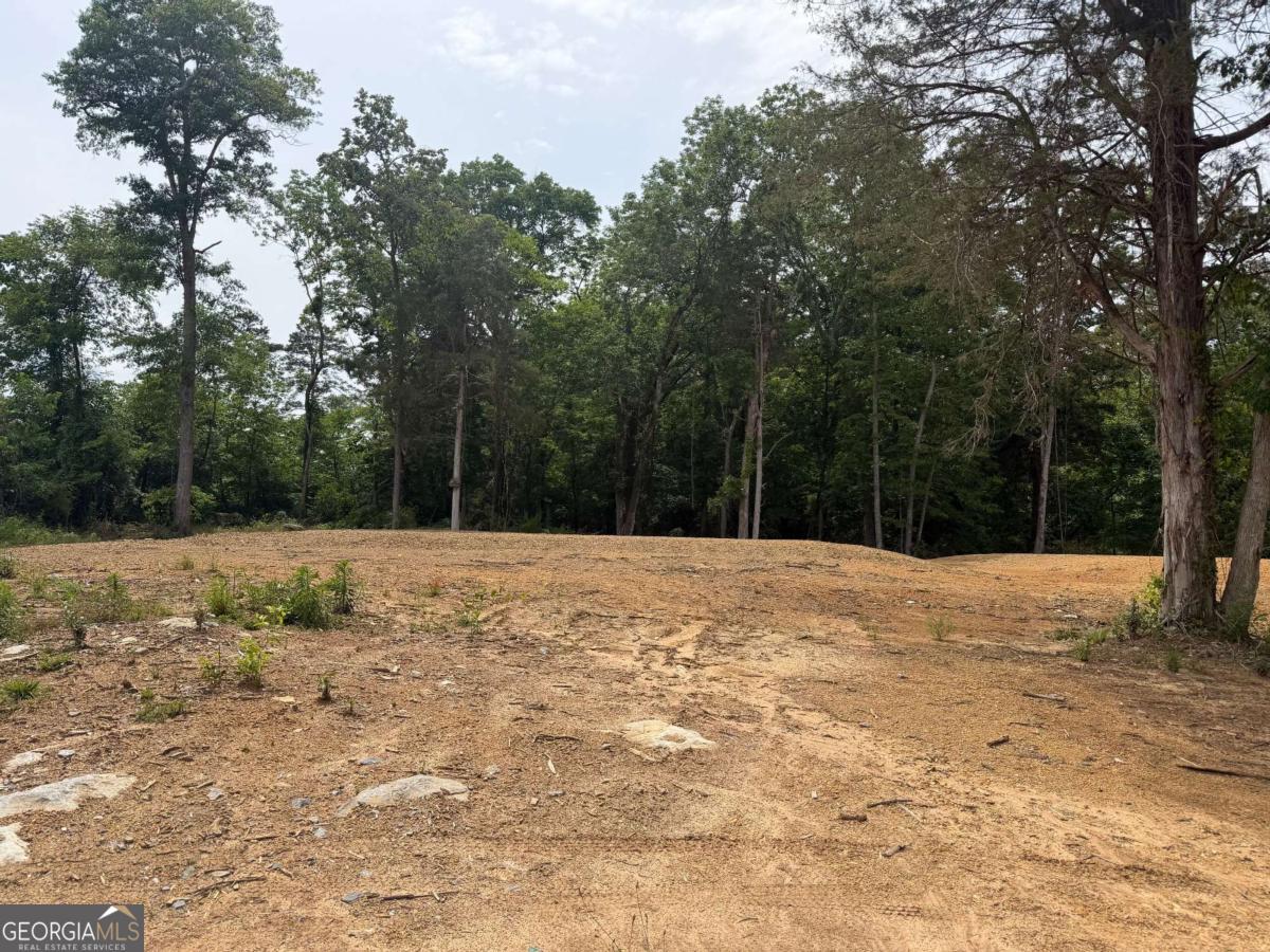 0 Ronnie Road Property Photo 4