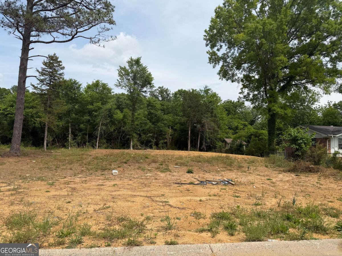 0 Ronnie Road Property Photo 5