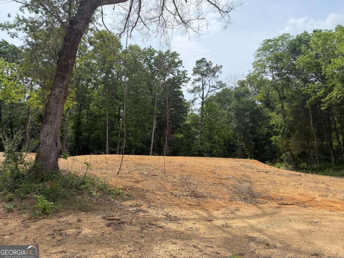 0 Ronnie Road Property Photo 6
