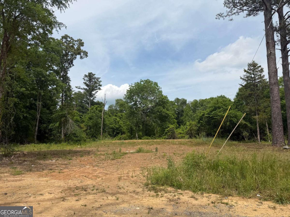 0 Ronnie Road Property Photo 7