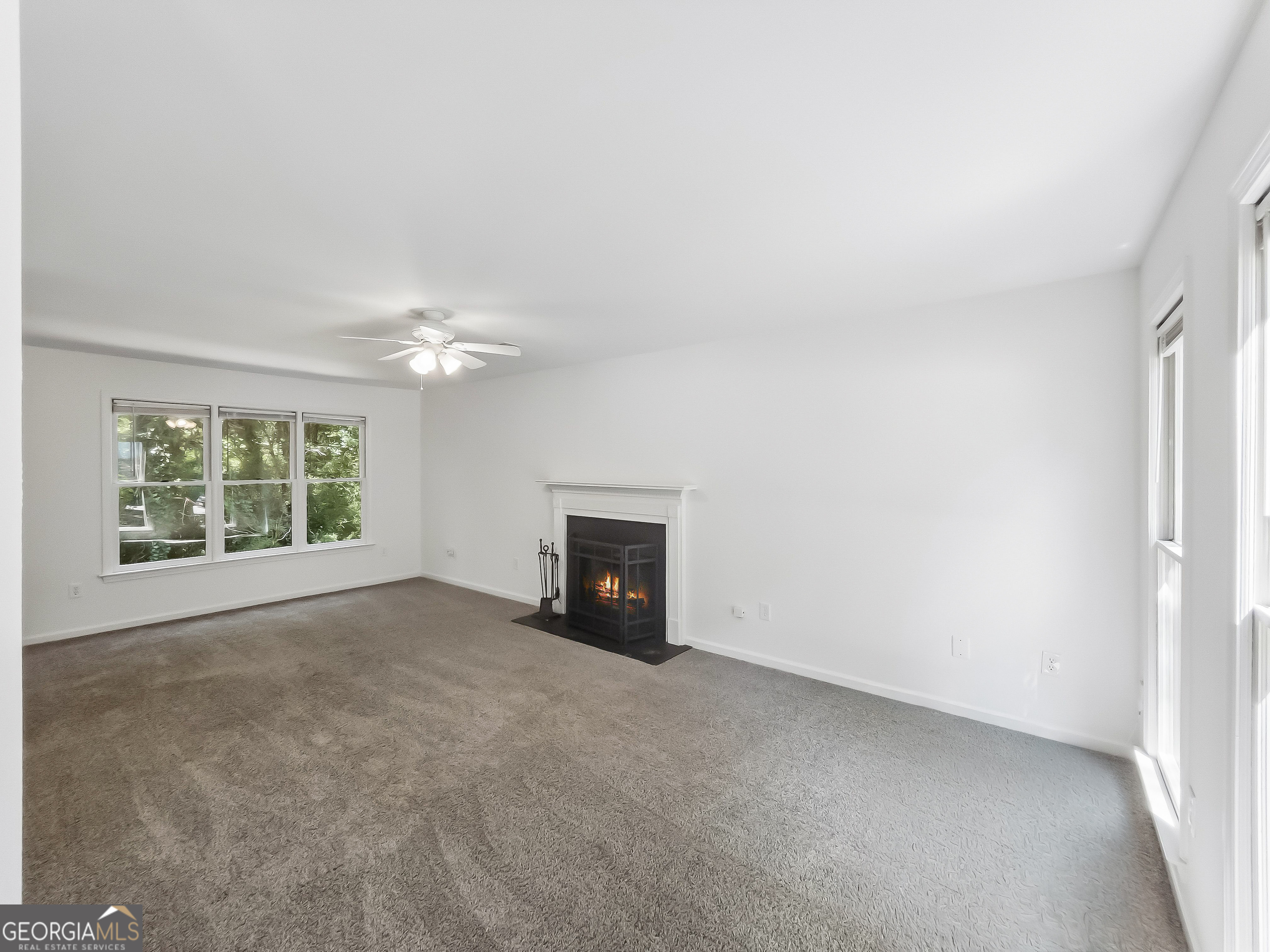 235 Wakefield Trace Property Photo 3