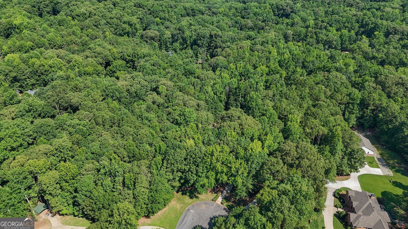 120 Ellenwood Court Property Photo 86