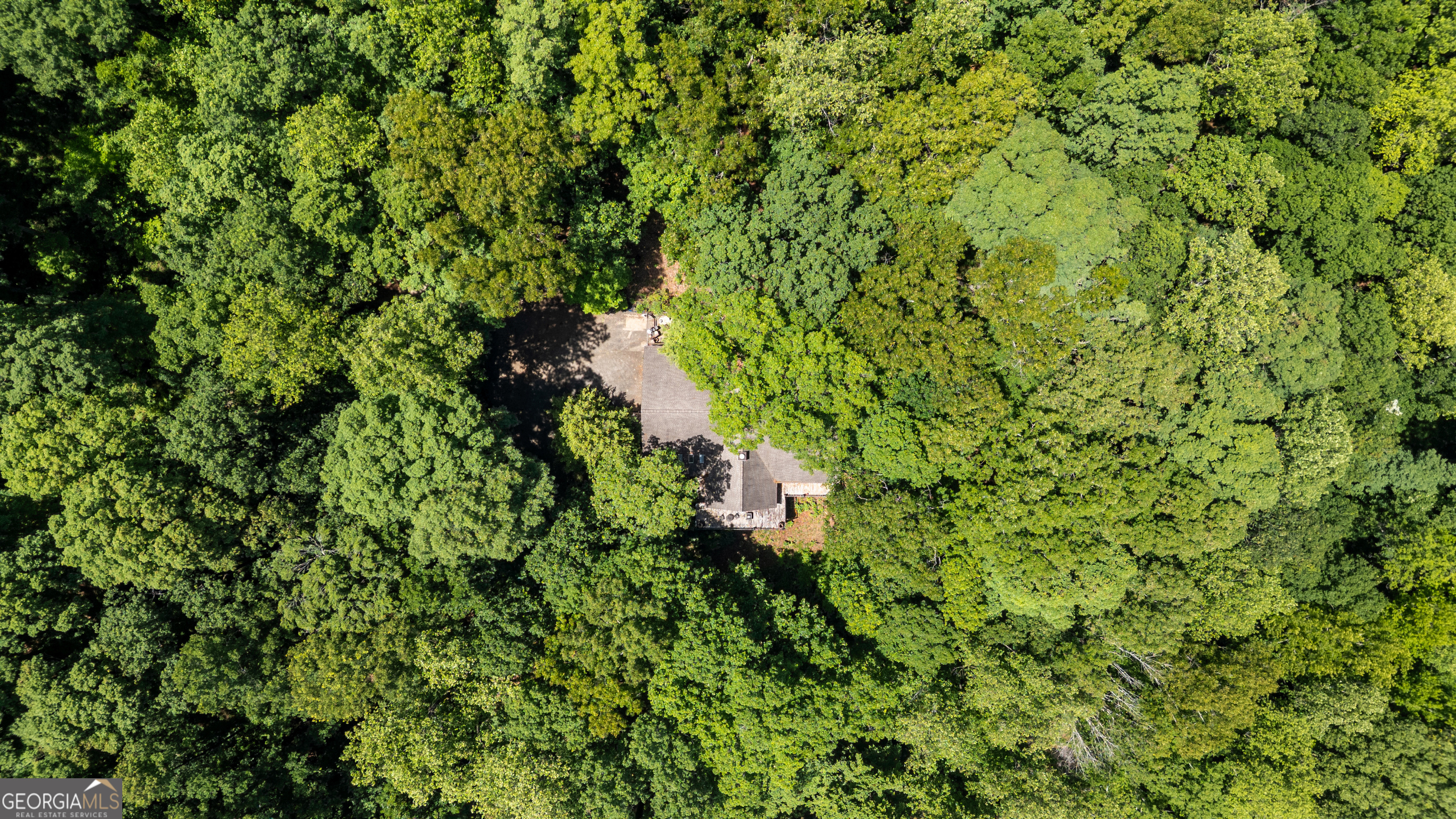477 Indian Property Photo 3