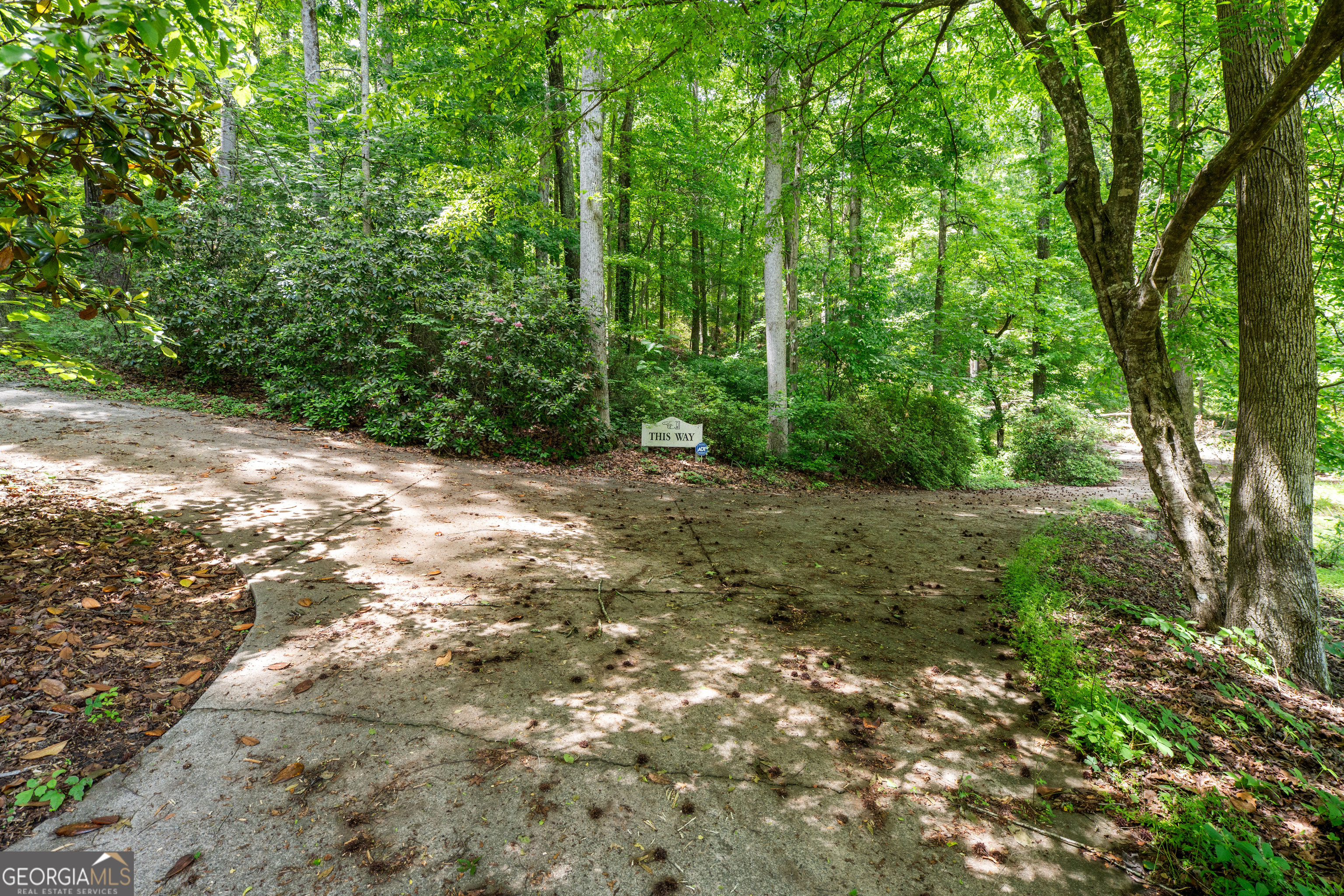 477 Indian Property Photo 38