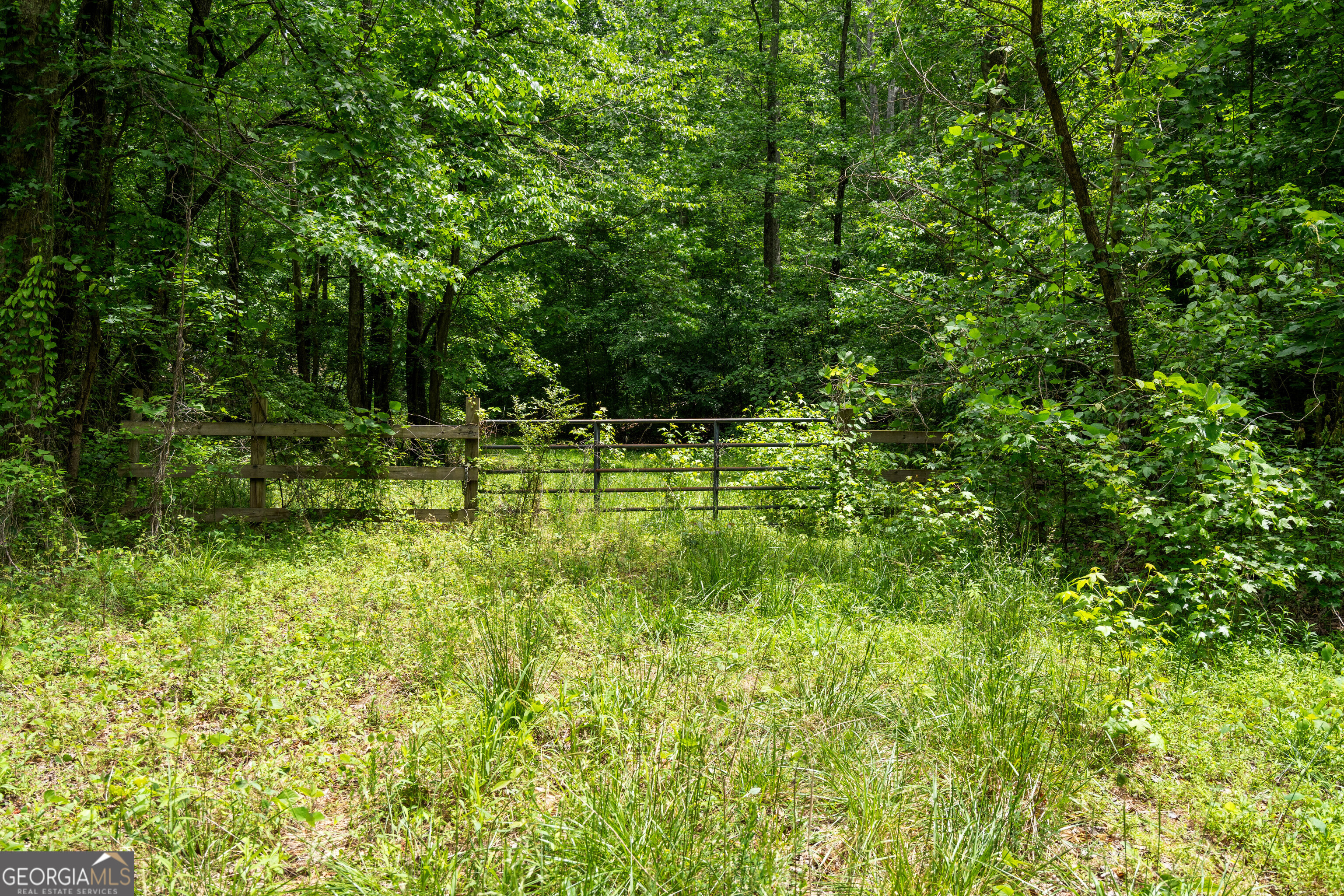 477 Indian Property Photo 47