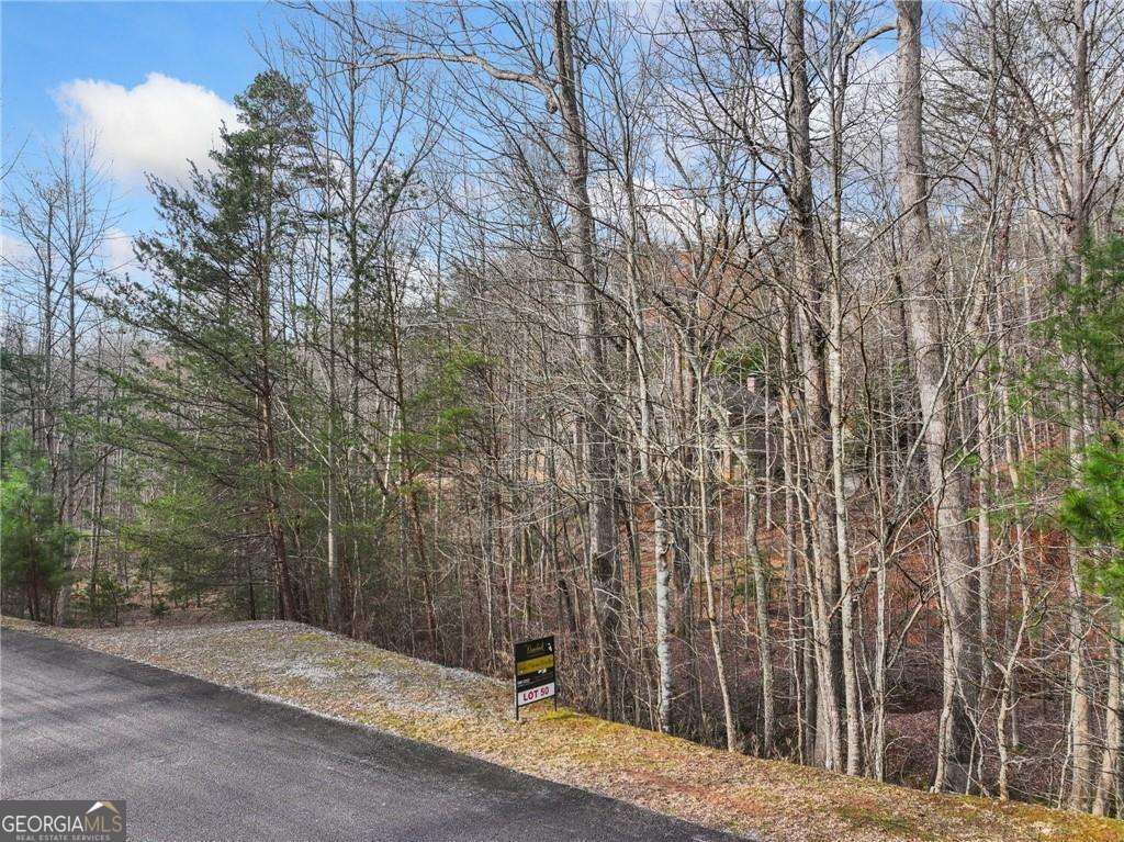 50 Old Stamp Mill Road Property Photo 5