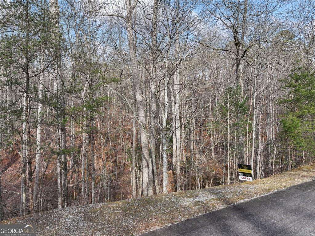 50 Old Stamp Mill Road Property Photo 6