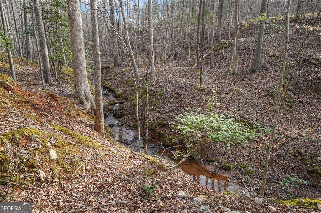 50 Old Stamp Mill Road Property Photo 7