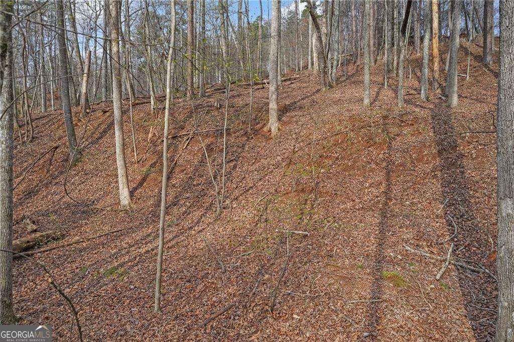 50 Old Stamp Mill Road Property Photo 12
