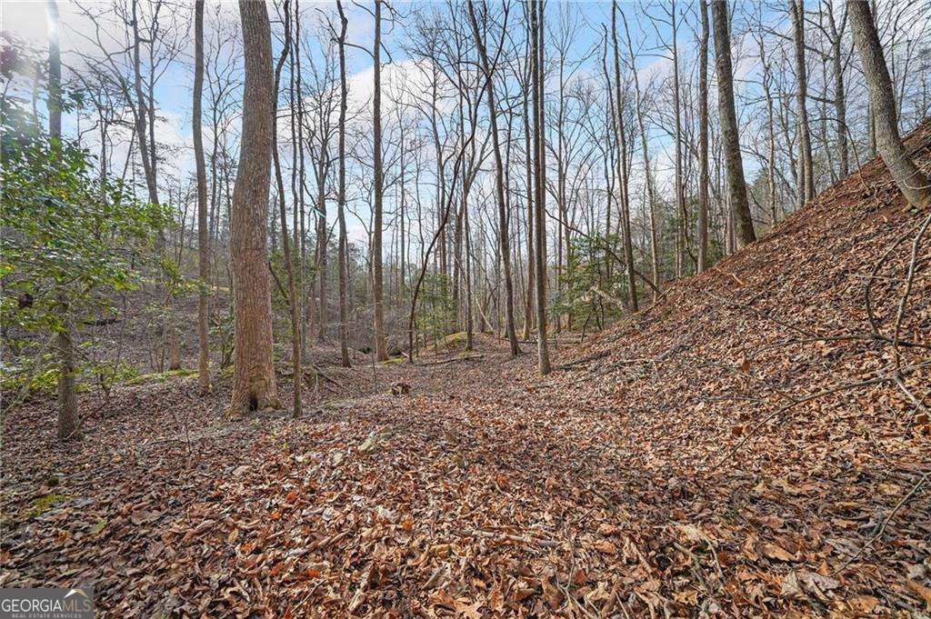 50 Old Stamp Mill Road Property Photo 13