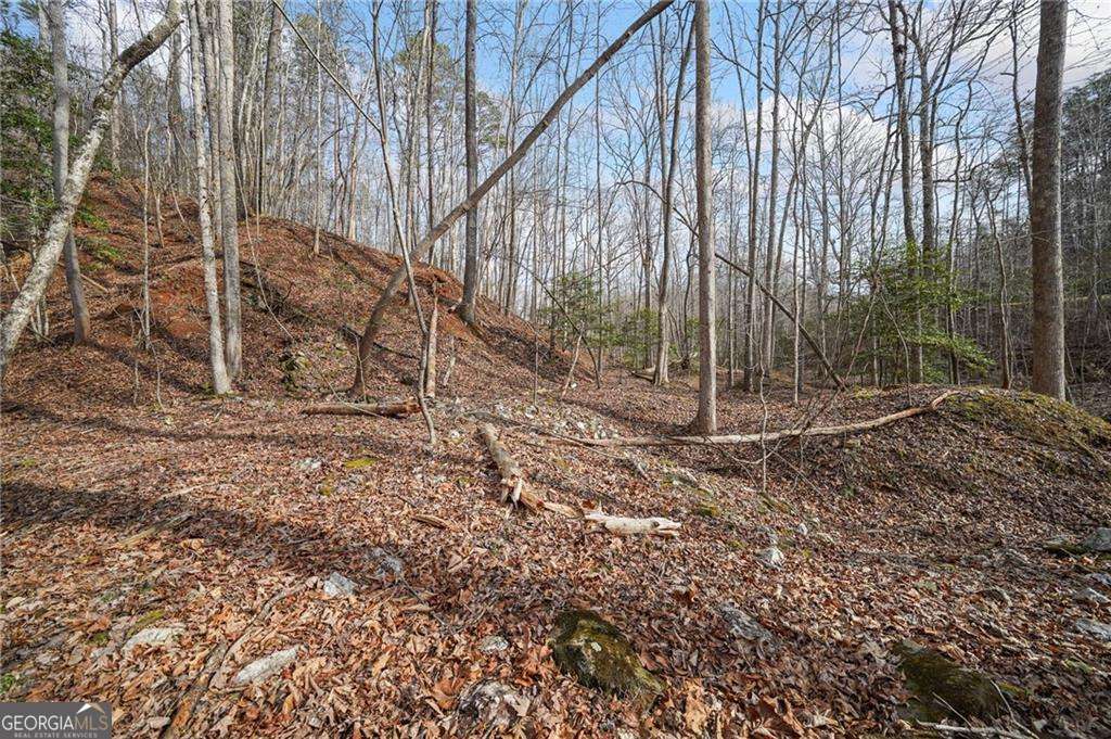50 Old Stamp Mill Road Property Photo 14