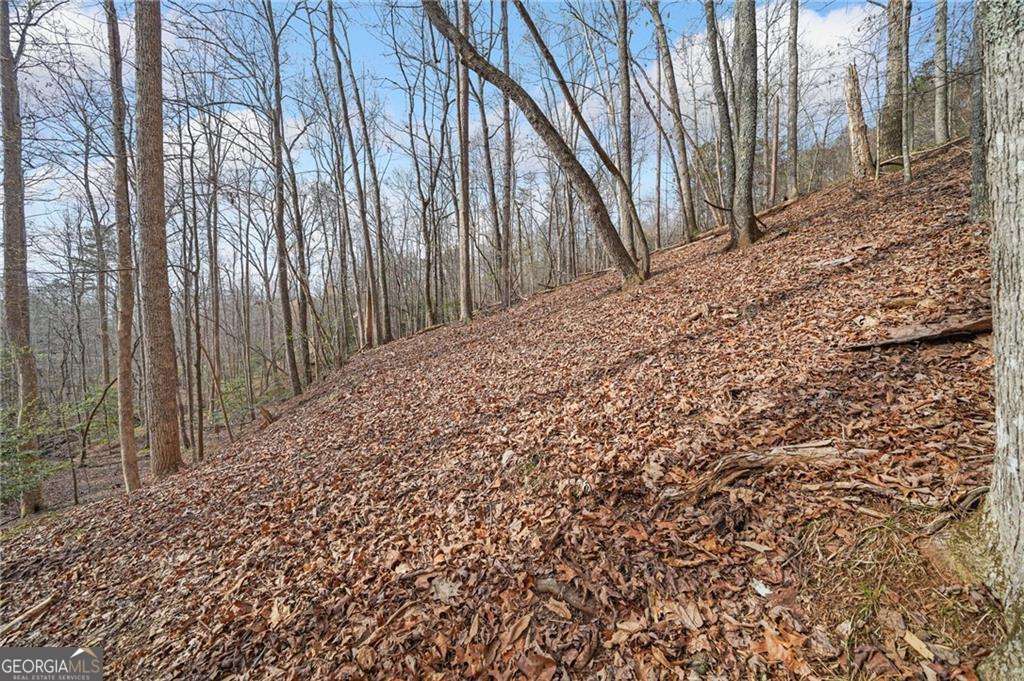 50 Old Stamp Mill Road Property Photo 15