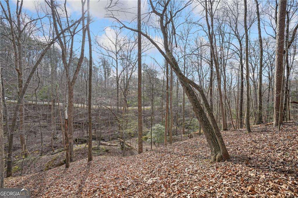 50 Old Stamp Mill Road Property Photo 16