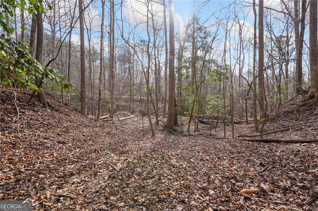 50 Old Stamp Mill Road Property Photo 18