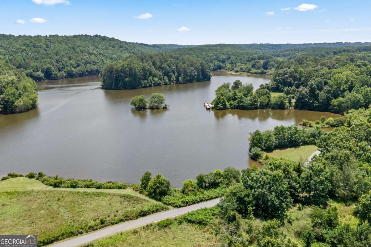 1452 Mountain Side Drive Property Photo 83