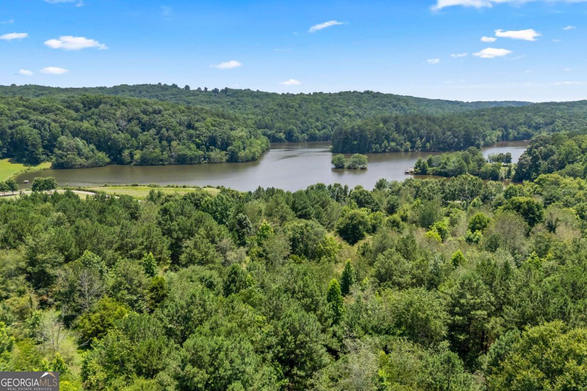 1452 Mountain Side Drive Property Photo 86