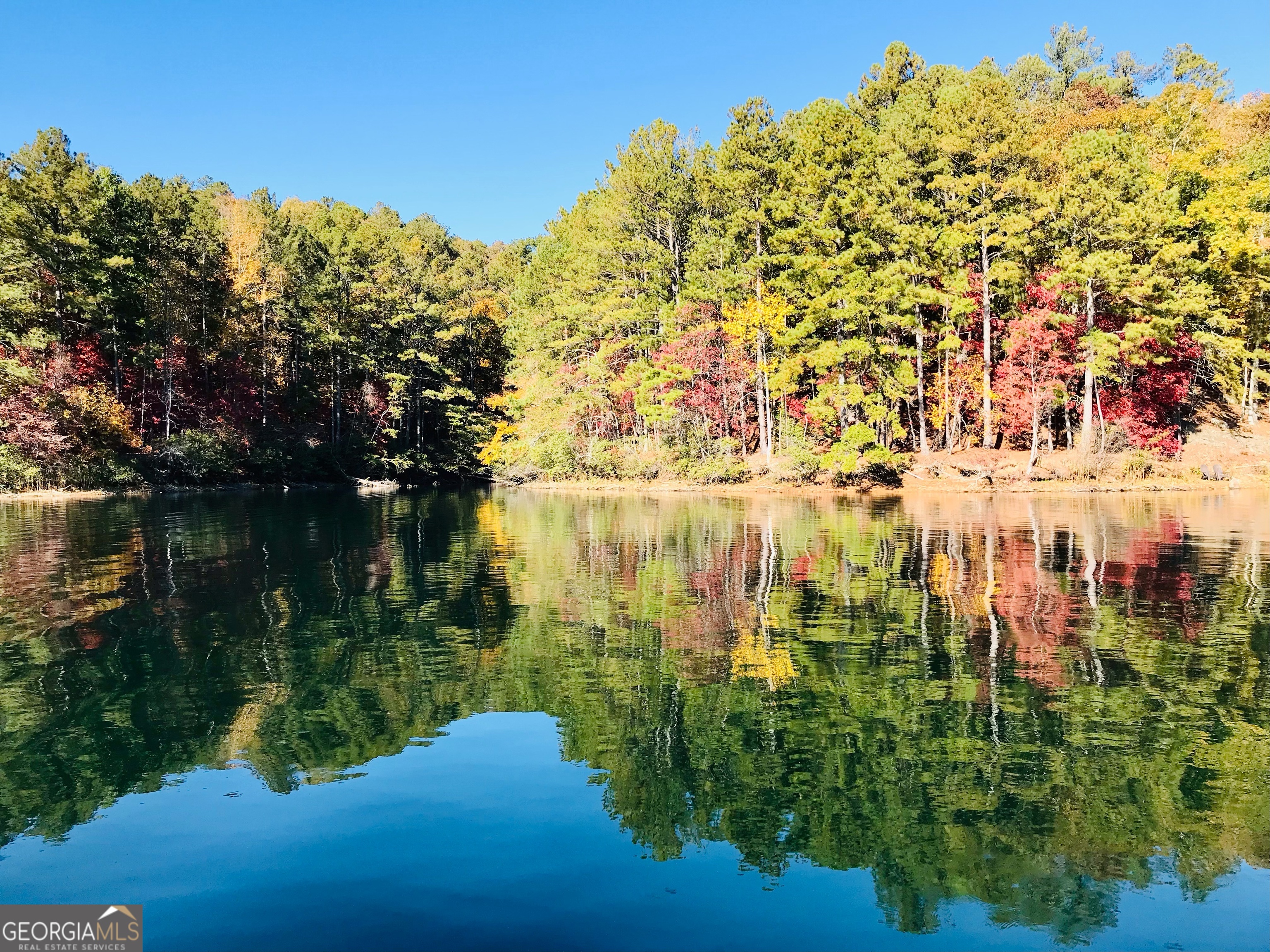 309 Feather Perch Property Photo 50