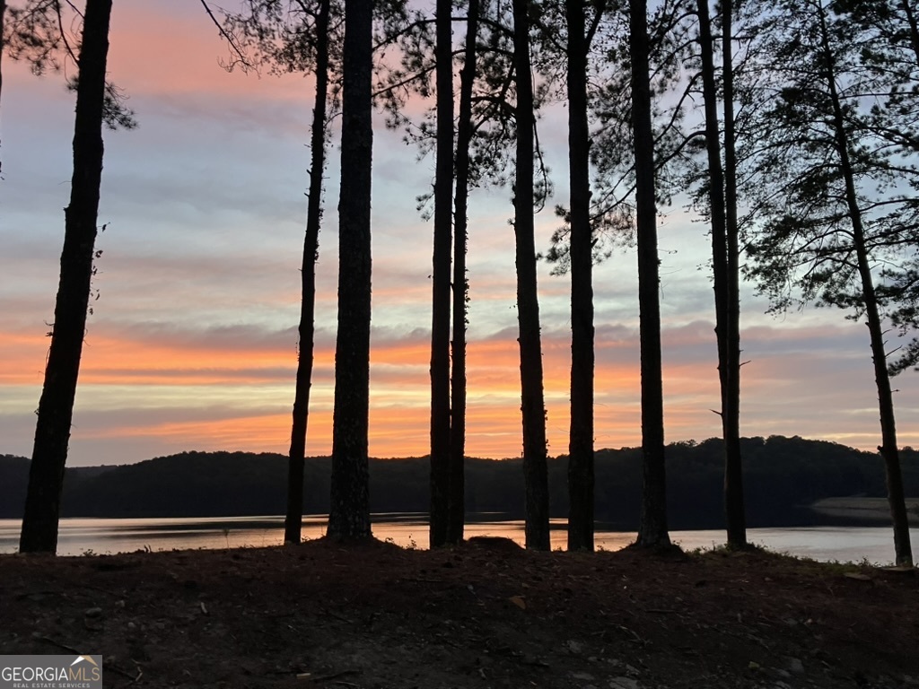 309 Feather Perch Property Photo 63
