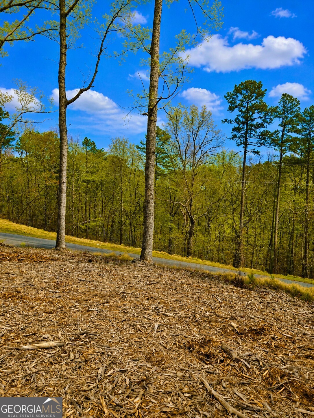 0 Canoe Way Property Photo 17