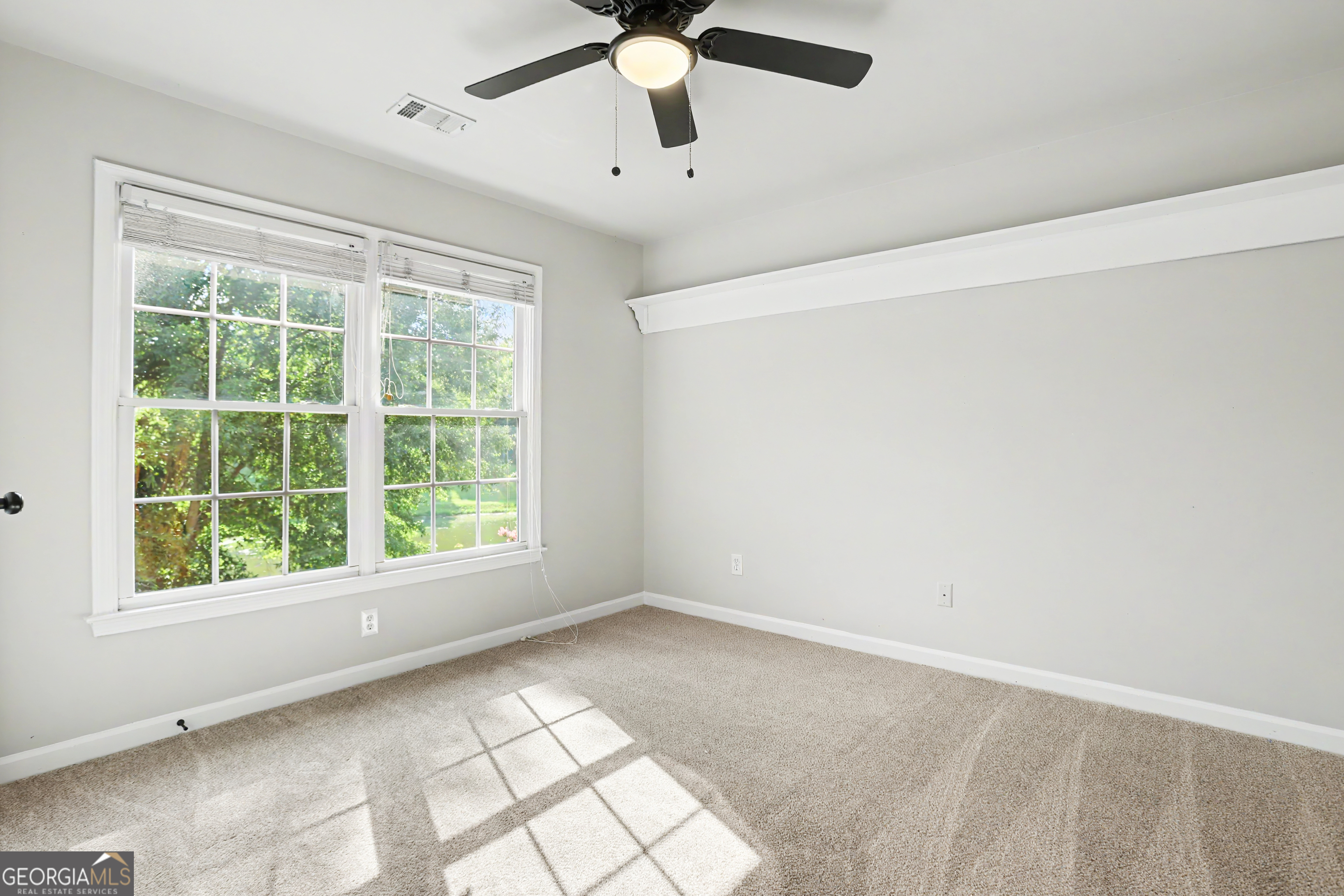 1738 Mulberry Lake Drive Property Photo 35