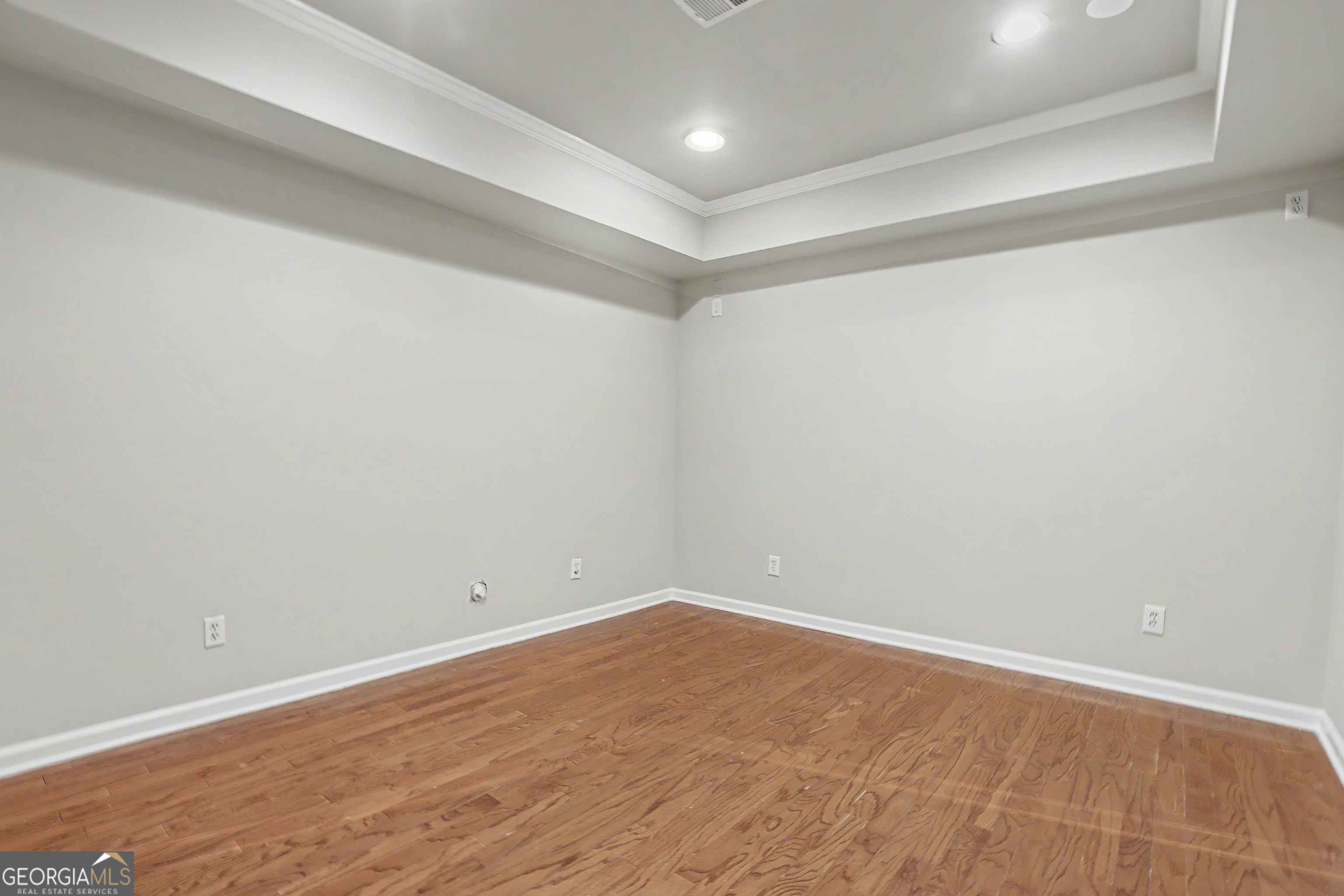 1738 Mulberry Lake Drive Property Photo 47