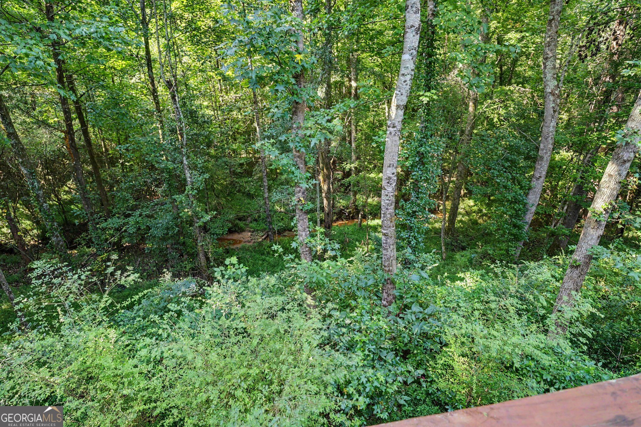731 Dawn Place Property Photo 38