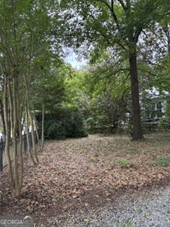 309 E Robert Toombs Avenue Property Photo 38