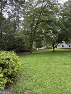 309 E Robert Toombs Avenue Property Photo 39