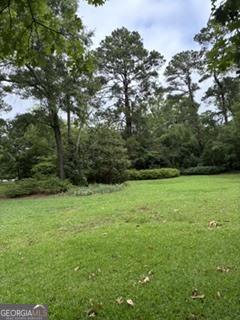 309 E Robert Toombs Avenue Property Photo 43